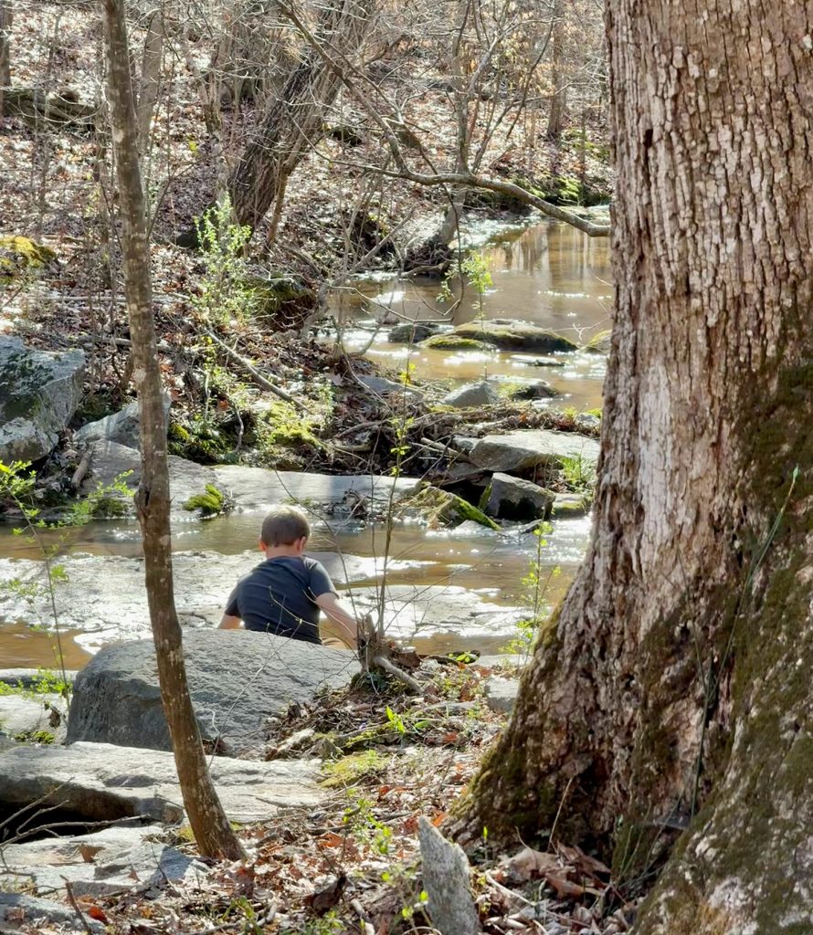 Boy Playing In Creek in Serenbe Georgia
